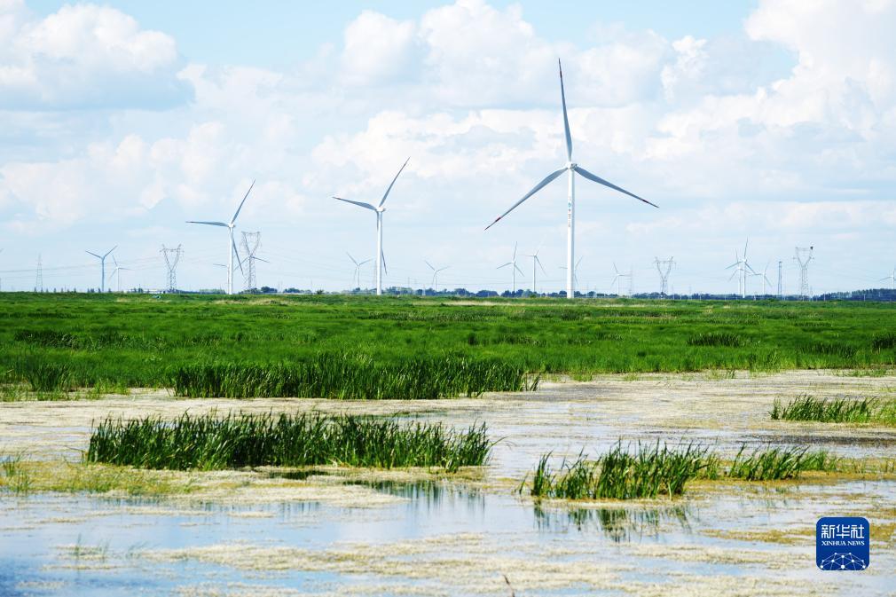 捕鱼游戏免费下载